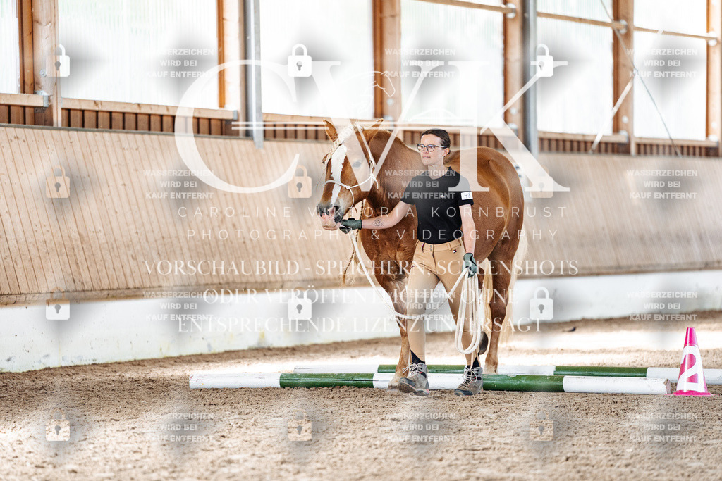 CK905911 | Turnierfotografie Pferdefotografie Trier Rheinland-Pfalz Pferdesport Reitsport Tierfotografie Sportfotografie Pferdevideo Pferdevideografie Equestrianvideography equestrianphotography  - Realized with Pictrs.com