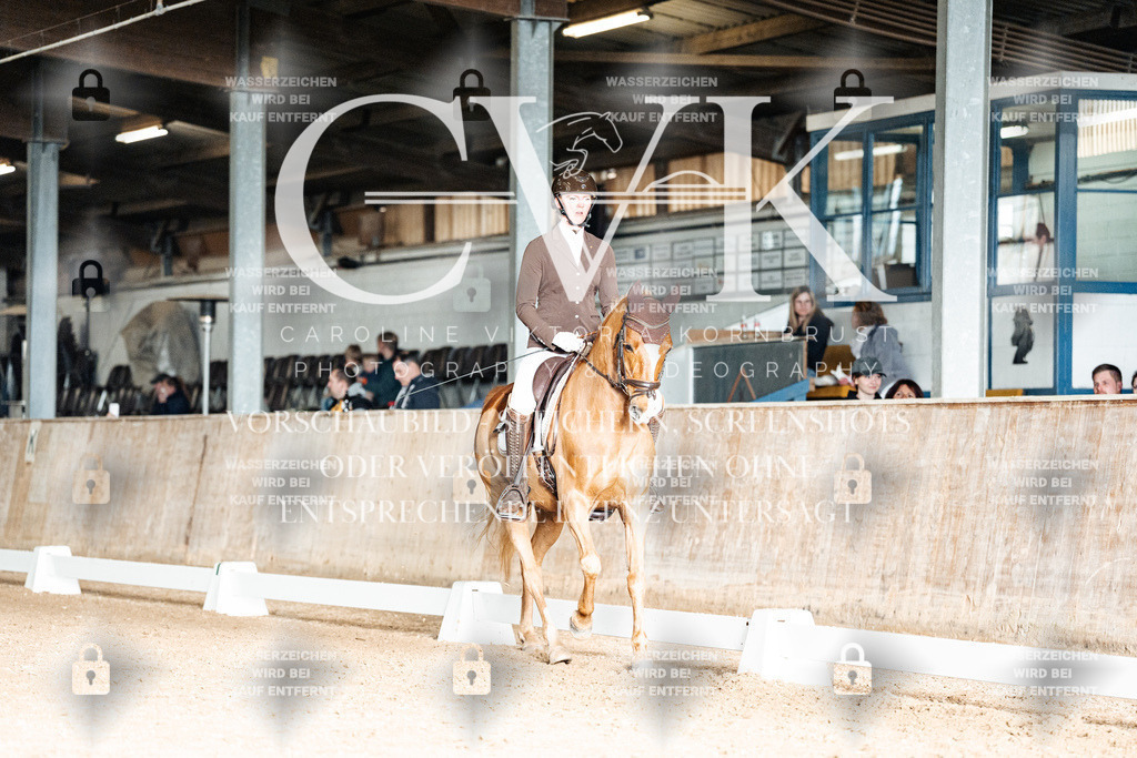 CK902939 | Turnierfotografie Pferdefotografie Trier Rheinland-Pfalz Pferdesport Reitsport Tierfotografie Sportfotografie Pferdevideo Pferdevideografie Equestrianvideography equestrianphotography  - Realisiert mit Pictrs.com