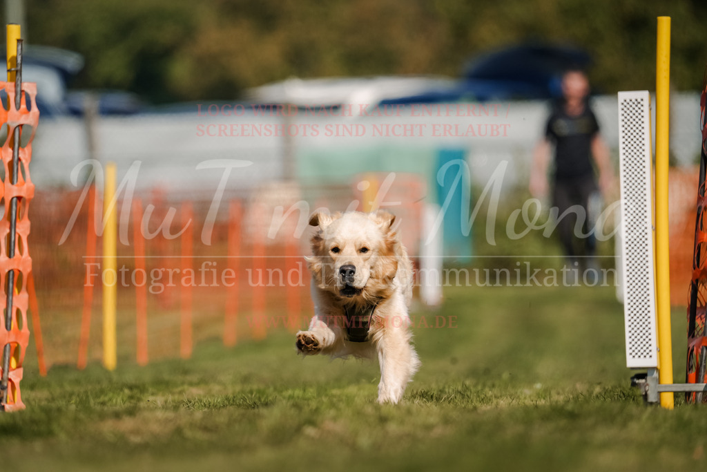 20250928_Hunderennen-637 | MuT (Mensch und Tier) mit Mona - Fotografie und Tierkommunikation - Realisiert mit Pictrs.com