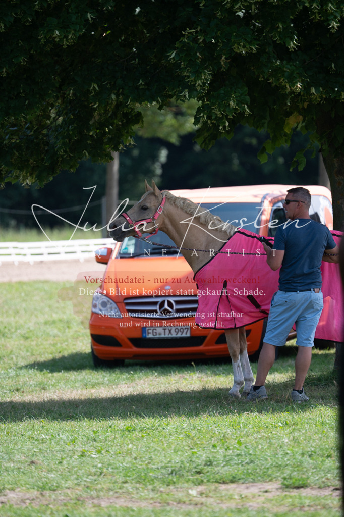 DSC_0598 | Pferde- und Turnierfotografie in Westsachsen. Pferdeportraits, Auftragszeichnungen und intuitive Kunst.