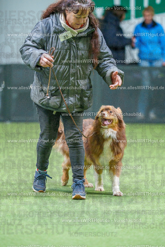 7R506186 | Professionelle Tierfotografie in Mönchengladbach von Daniel Wirth (allesWIRTHgut). Liebevolle & natürliche Bilder von Hunden & Katzen für unvergessliche Erinnerungen.