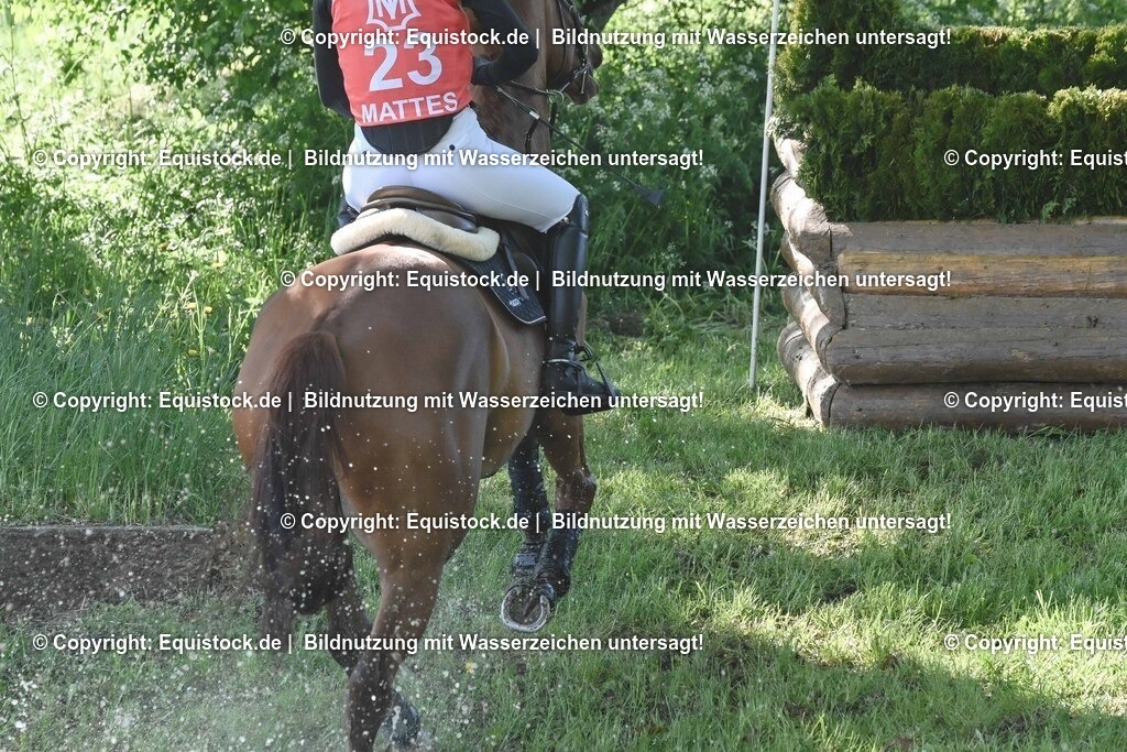 20250517_CCI2_Gelände_0725 | Foto: Thomas Hartig