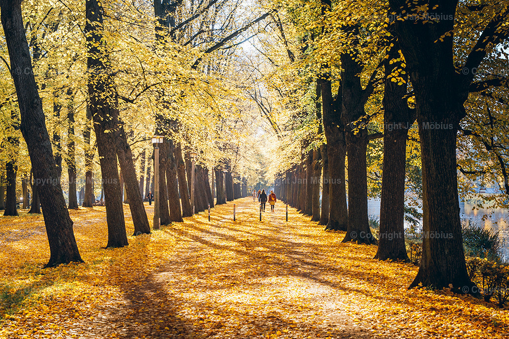 _DSC7484 | Leipzig Wandbilder Drucke Prints Leinwand Stadtmotive Leipzig Fotosdruck Kunstdrucke Bilder Leipzig Stadtansichten Acrylglasbilder Leipzig Wanddeko Fine Art Prints Wandbilder Büro Leipzig Bilder Praxis Zuhause Bilderdruck Poster Posterlounge Kunstdrucke - Realisiert mit Pictrs.com