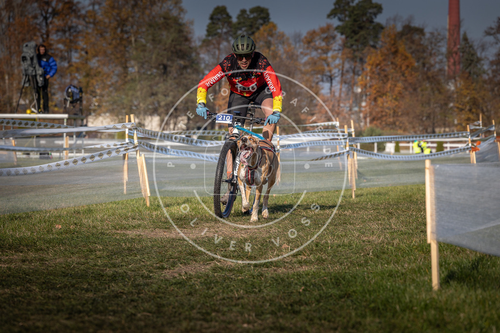 CaniXpix_0L8A6152 | Hundefotografie, Tierfotograf, Pfotenfotografie, Fotoshooting Hund, Hunde Portrait, Hundesport, Hundeportraits, Heideshooting, Hunde, Sportfotograf, Hundefotograf, Turnierhundsport, THS,  - Realisiert mit Pictrs.com
