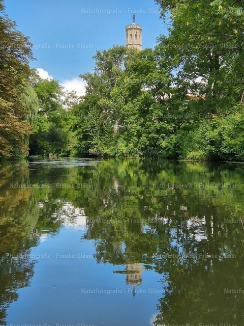 Oker in Braunschweig (3) | Naturfotografie Frauke Gläser - Realisiert mit Pictrs.com