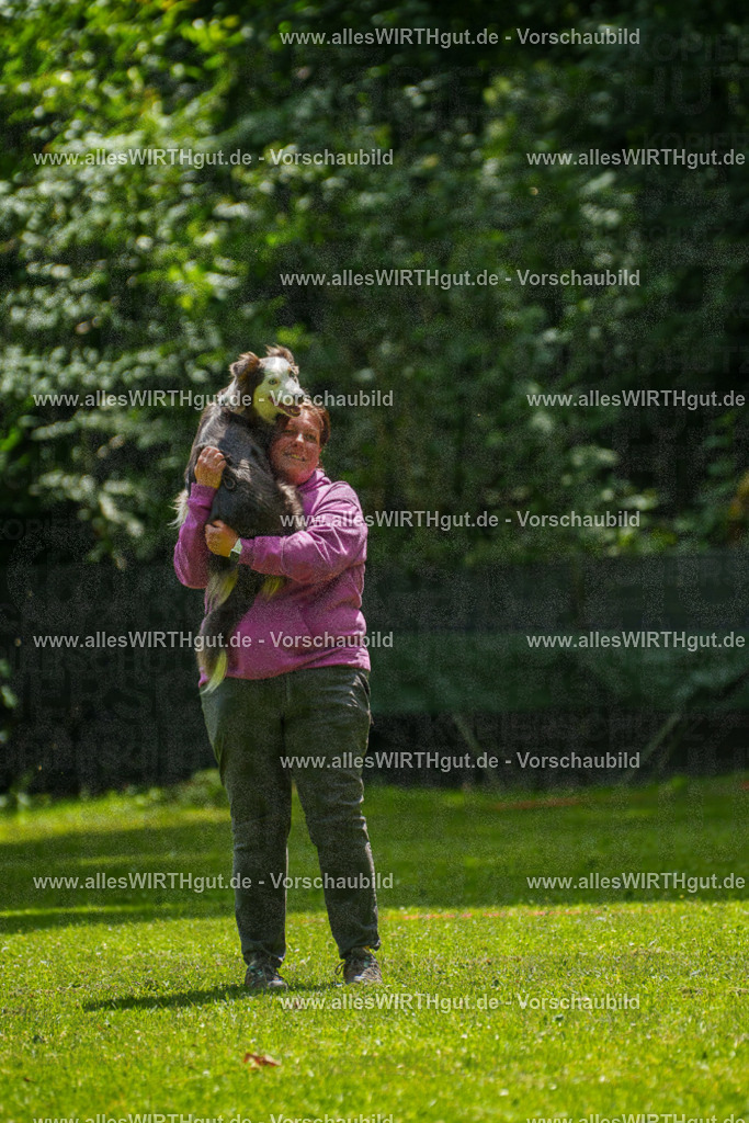 @allesWIRTHgut_Tierfotografie - www.allesWIRTHgut.de - 7R504969 | Professionelle Tierfotografie in Mönchengladbach von Daniel Wirth (allesWIRTHgut). Liebevolle & natürliche Bilder von Hunden & Katzen für unvergessliche Erinnerungen.