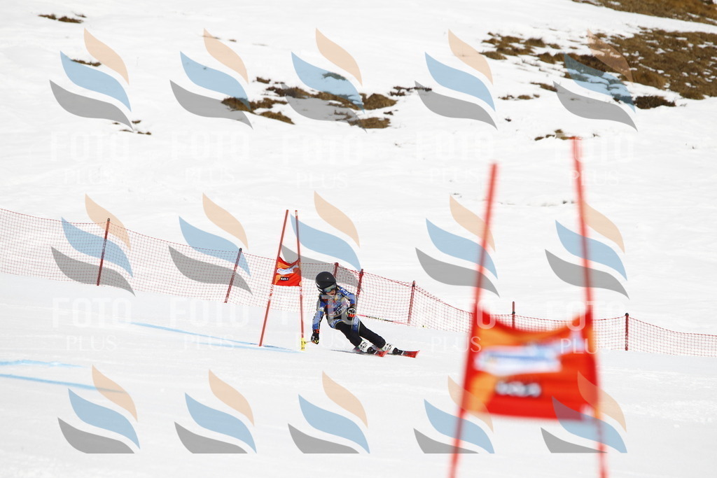 _U3G4869 | holidayphoto