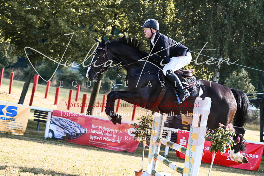 DSC_7534 | Pferde- und Turnierfotografie in Westsachsen. Pferdeportraits, Auftragszeichnungen und intuitive Kunst.
