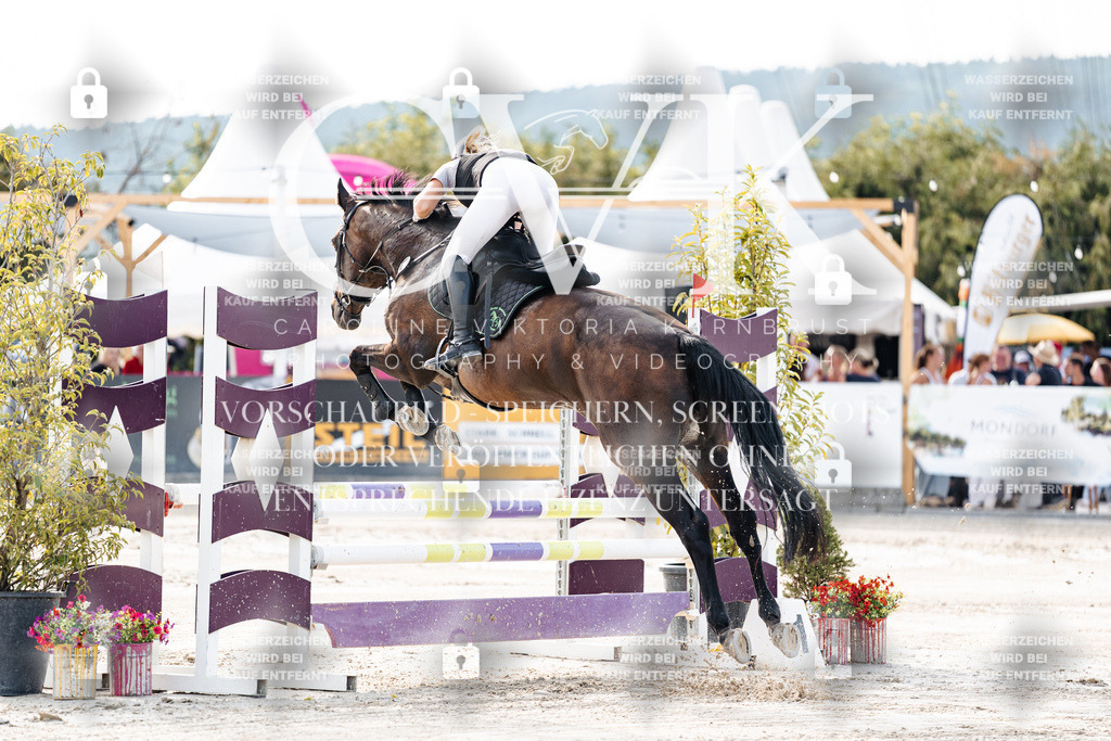 CK906127 | Turnierfotografie Pferdefotografie Trier Rheinland-Pfalz Pferdesport Reitsport Tierfotografie Sportfotografie Pferdevideo Pferdevideografie Equestrianvideography equestrianphotography  - Realisiert mit Pictrs.com