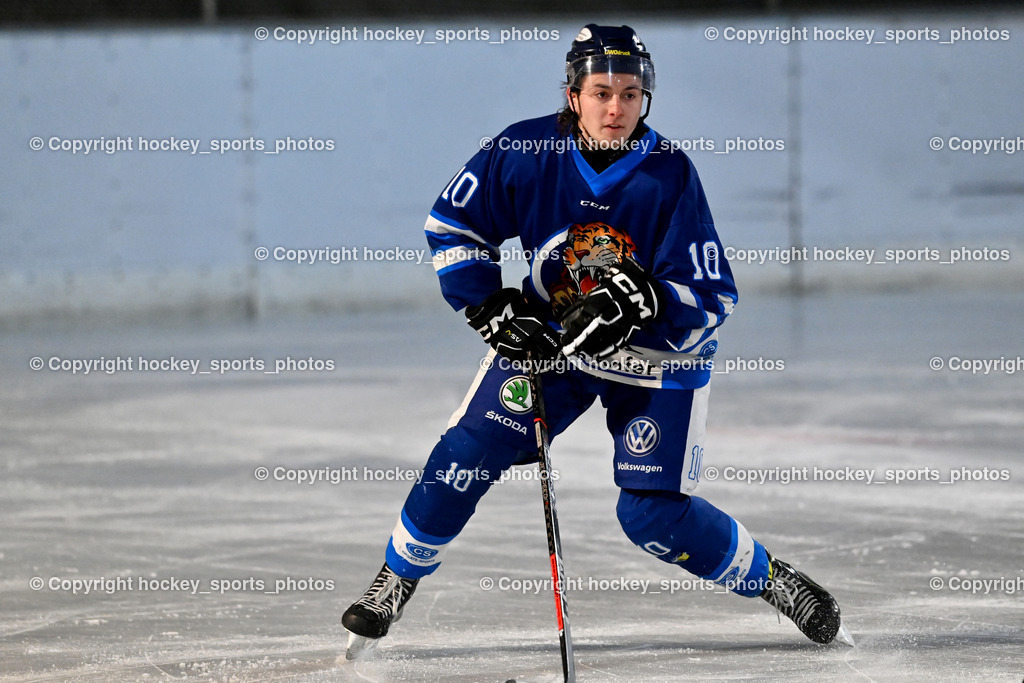 EC Tigers Paternion vs. EC Feld am See Ledenitzen | #10 Ortner Philipp EC Tigers Paternion, EC Tigers Paternion vs. EC Feld am See Ledenitzen, EC Tigers Paternion vs. EC Feld am See Ledenitzen am 19.01.2025 in Villach (Eisplatz Paternion), Austria, (Photo by Bernd Stefan)