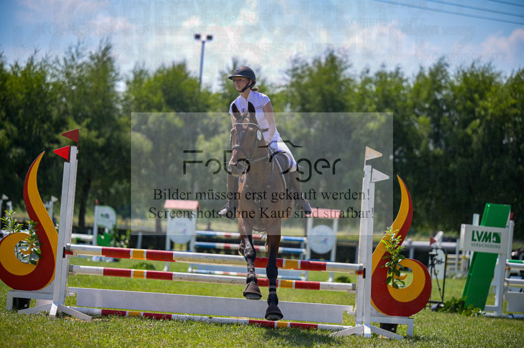 Reitturnier Voxtrup | Entdecke hochwertige Reitturnierfotos von Foto Oger. Professionell, emotional und authentisch – jetzt Lieblingsmomente im Shop bestellen. - Realisiert mit Pictrs.com