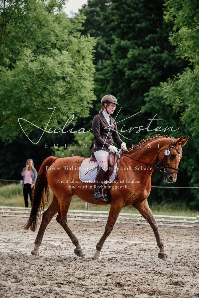 DSC_9677 | Pferde- und Turnierfotografie in Westsachsen. Pferdeportraits, Auftragszeichnungen und intuitive Kunst.