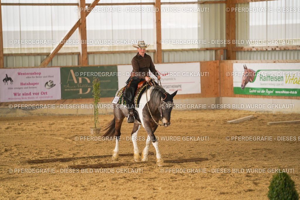 DSC04744 | Pferdegrafie