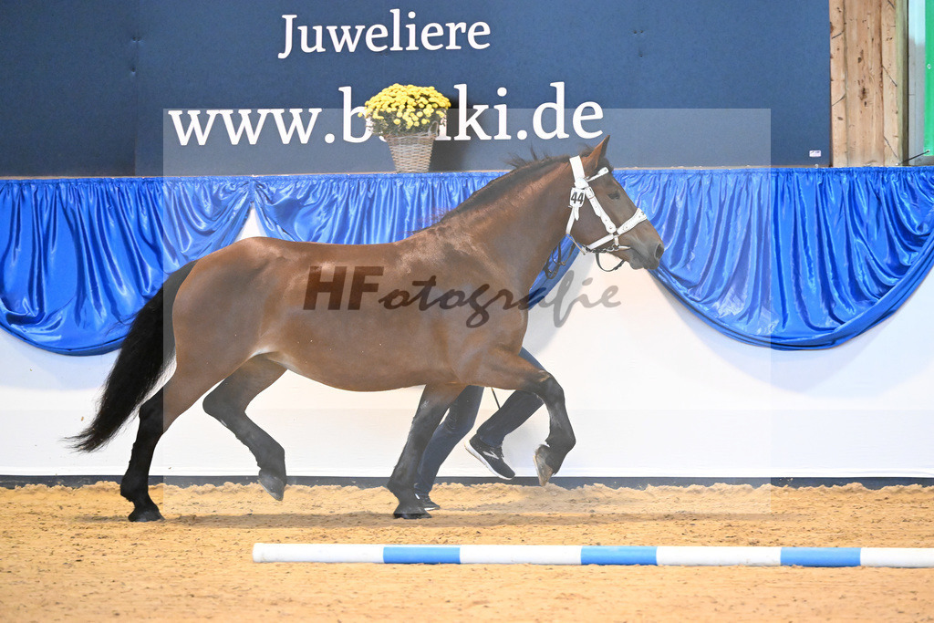 Kat-Nr. 44 Paulina_Demmel_53220023 | hf-fotografie - Realizzato con Pictrs.com