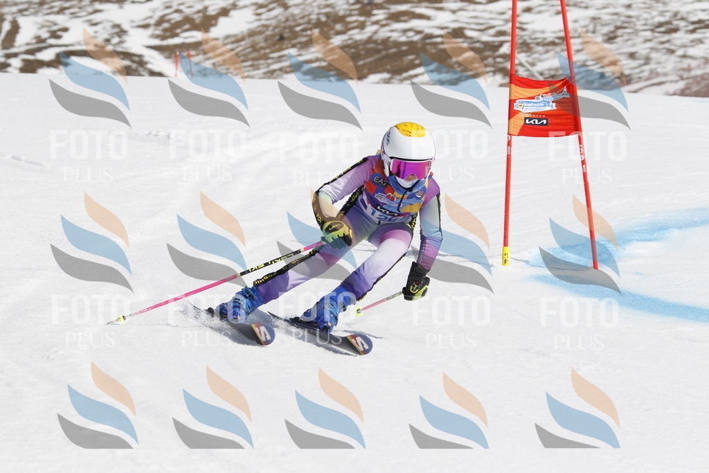 _U3G0808 | holidayphoto