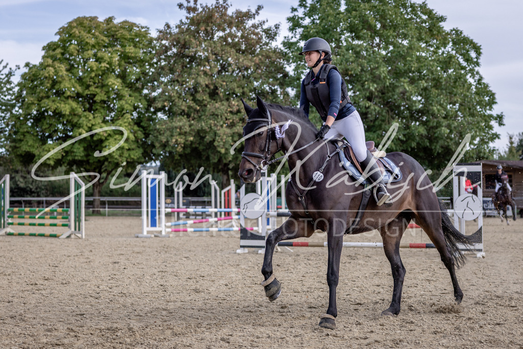 20260906-_3LI6626 | Tierfotografie Pferde, Hunde, Katzen, Haustiere.
Turnierfotografie Reitturniere, Reiten, Springreiten, Dressur in Hanau, dem Main-Kinzig-Kreis und dem Rhein-Main- Gebiet um Frankfurt
