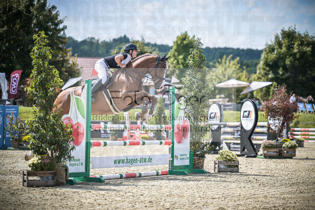 DOS_6395 | Entdecke hochwertige Reitturnierfotos von Foto Oger. Professionell, emotional und authentisch – jetzt Lieblingsmomente im Shop bestellen.Deutschlandweite Turnierfotografie. - Realisiert mit Pictrs.com