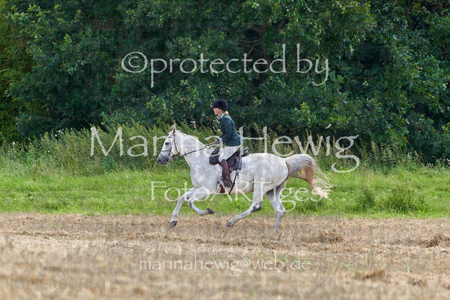 _MCH8159_Marina Hewig | Fotografie, FotoArt, PferdesportArt, Pferdesportfotografie, Landschaftsfotografie, Reisefotografie, Reise, Pferde - Realisiert mit Pictrs.com