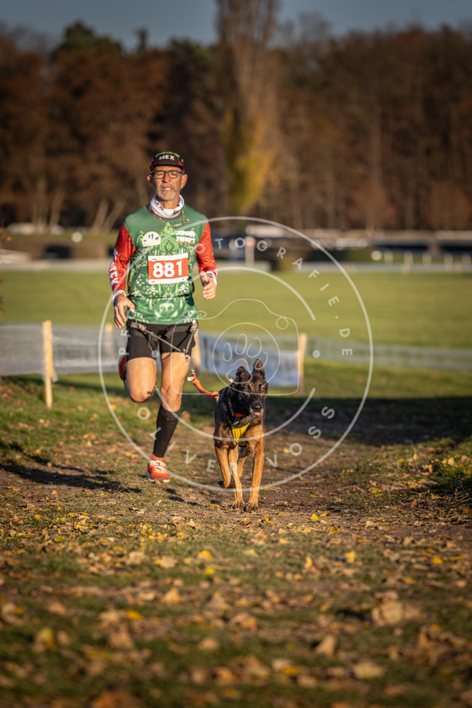 CaniXpix_DV3A4328 | Hundefotografie, Tierfotograf, Pfotenfotografie, Fotoshooting Hund, Hunde Portrait, Hundesport, Hundeportraits, Heideshooting, Hunde, Sportfotograf, Hundefotograf, Turnierhundsport, THS,  - Realisiert mit Pictrs.com