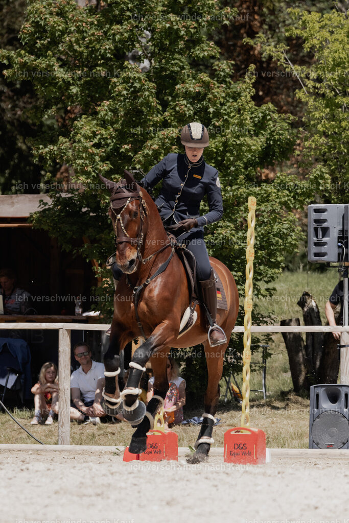 WE_SP_Stoib_340_PI2025_1968 | Pferd International München 2025