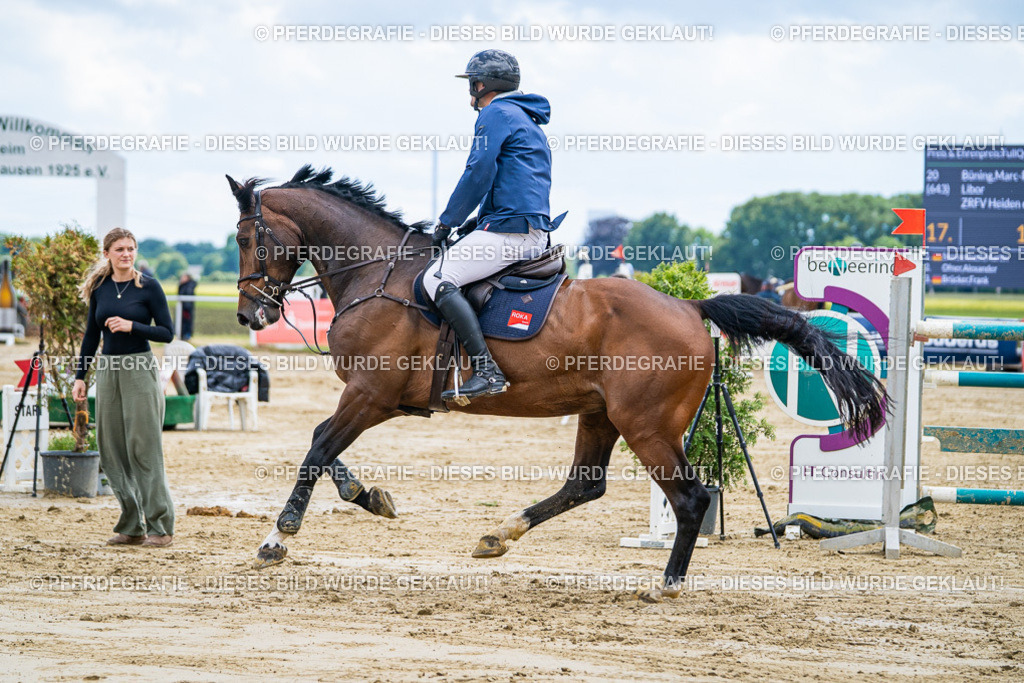 DSC05821 | Pferdegrafie