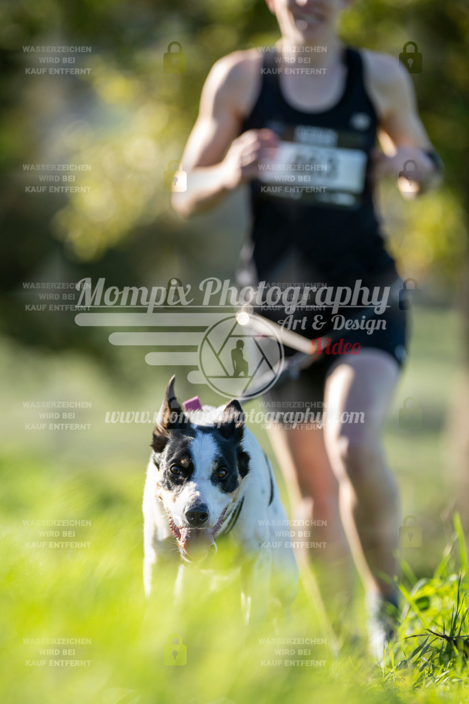 MompixPhotography_20TSB_E3_Run-130 | PayLife