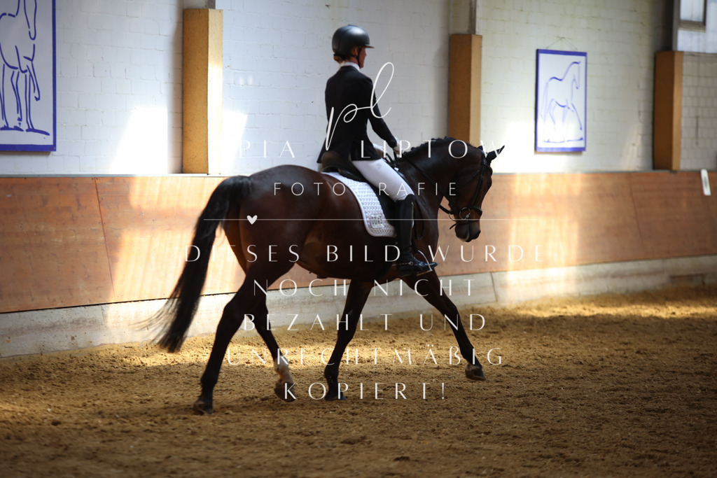 IMGT7717 | pl-fotografie