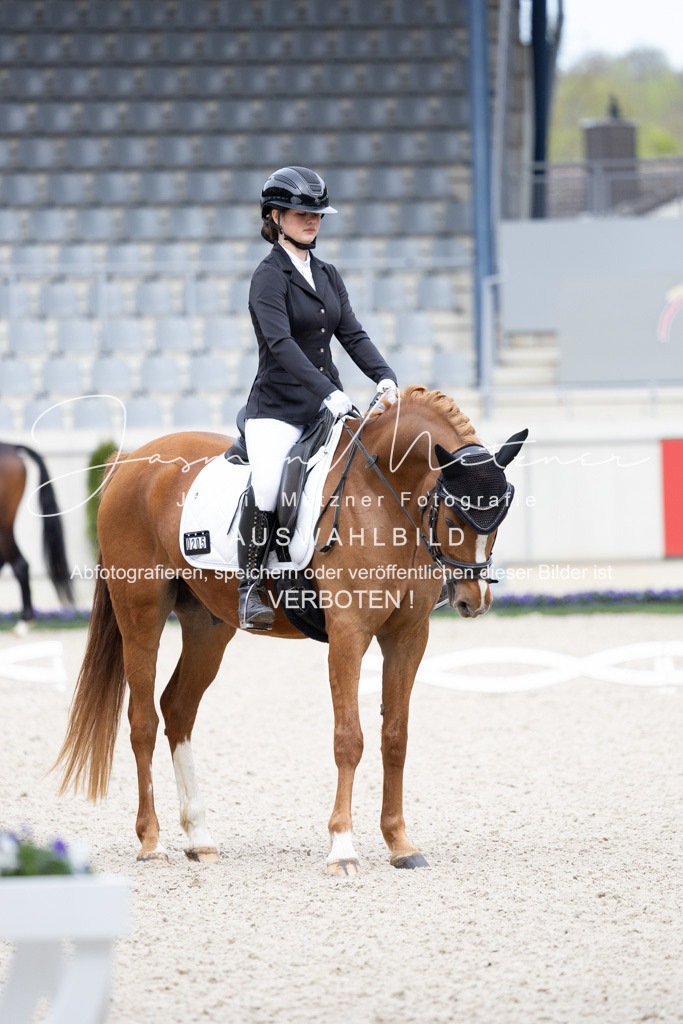 126A6091 | jasminmetznerfotografie