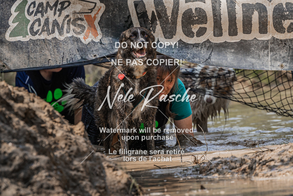 nelerasche_Hoope2026_Sa1500-1530_158 | nelerasche