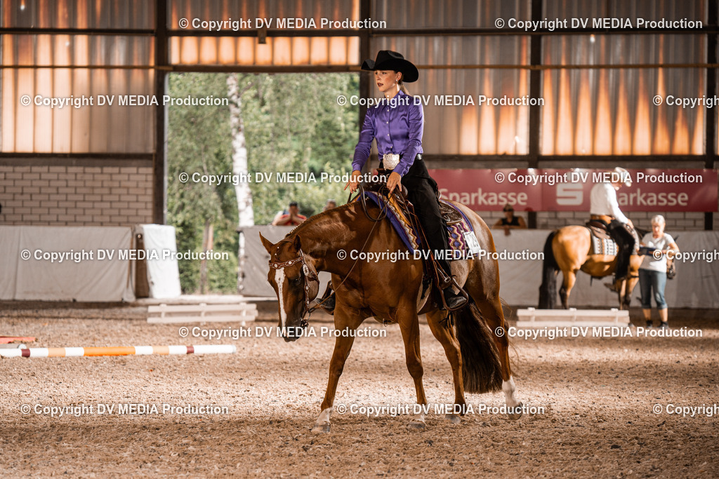 ZH200603 | dv-media-shop - Realisiert mit Pictrs.com