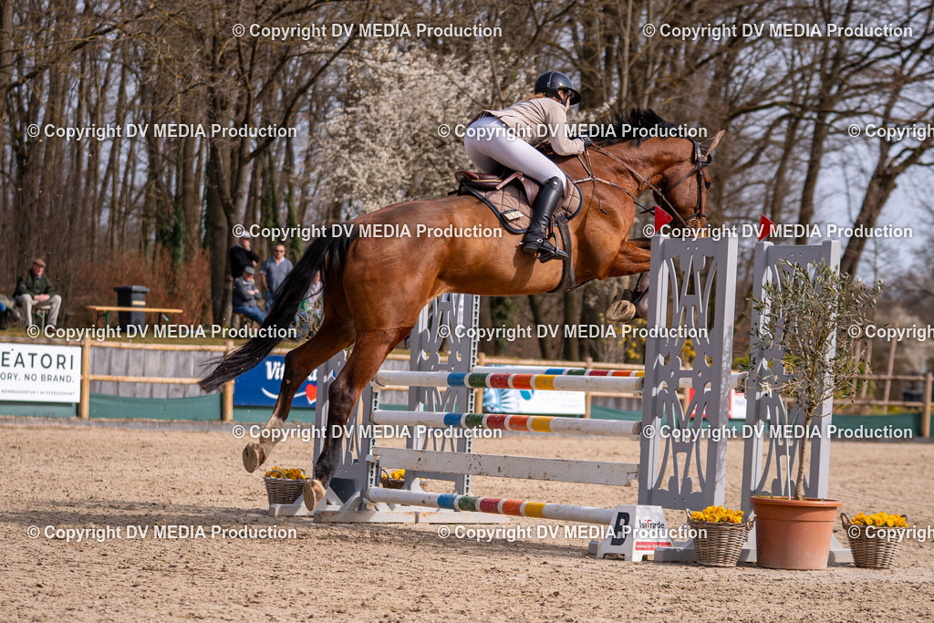 Kranichstein Tag 1-686 | dv-media-shop - Realisiert mit Pictrs.com