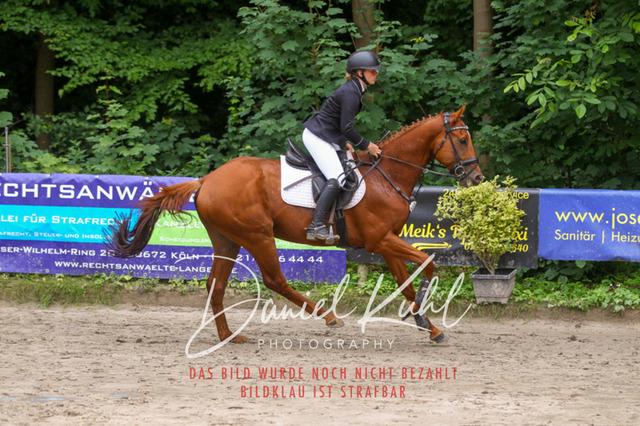 DKP44927 | Turniersportfotografie; Pferdefotografie; Dressurfotografie