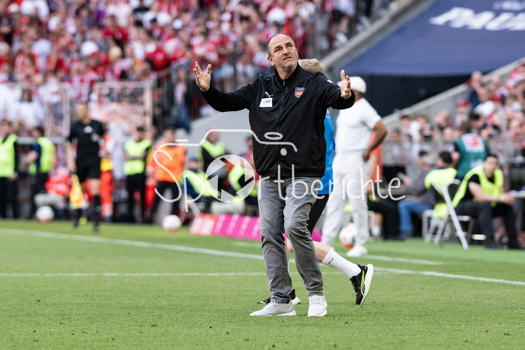 FC Bayern München - 1. FC Heidenheim | MUNICH, GERMANY - 02. MAI: im Bild Frank SCHMIDT Trainer 1. FC Heidenheim während dem Bundesligamatch zwischen dem FC Bayern München und dem 1. FC Heidenheim am 32. Spieltag in der Allianz Arena / DFL REGULATIONS PROHIBIT ANY USE OF PHOTOGRAPHS AS IMAGE SEQUENCES AND/OR QUASI-VIDEO