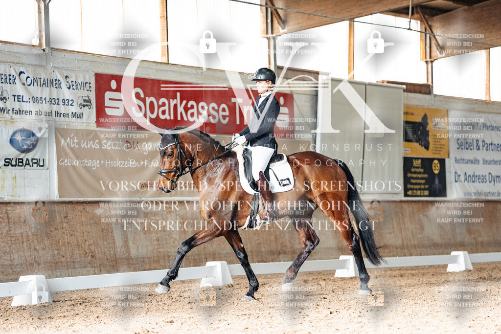 CK903085 | Turnierfotografie Pferdefotografie Trier Rheinland-Pfalz Pferdesport Reitsport Tierfotografie Sportfotografie Pferdevideo Pferdevideografie Equestrianvideography equestrianphotography  - Realisiert mit Pictrs.com