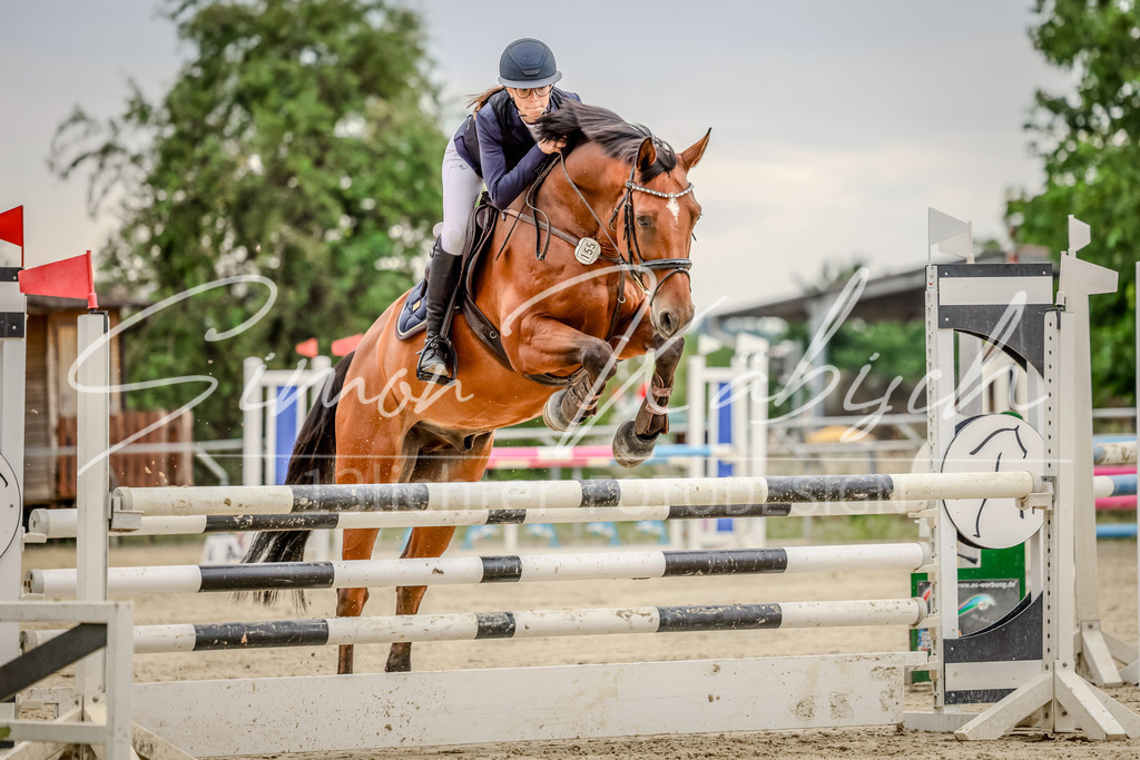20250706-_3LI3438 | Tierfotografie Pferde, Hunde, Katzen, Haustiere.
Turnierfotografie Reitturniere, Reiten, Springreiten, Dressur in Hanau, dem Main-Kinzig-Kreis und dem Rhein-Main- Gebiet um Frankfurt