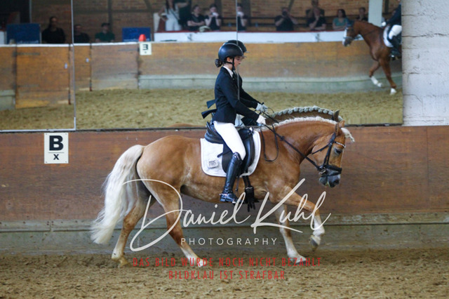 DKP43723 | Turniersportfotografie; Pferdefotografie; Dressurfotografie