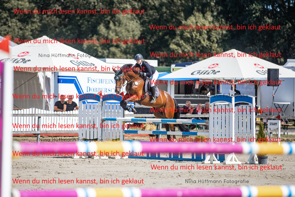 BK1A6844 | Turnierbilder Turnierfotos Nina Hüffmann Turnierfotografie Pferdefotografie Tierzeichnung Haustierzeichnung Pferdezeichnung Hundezeichnung Videograf  - Realisiert mit Pictrs.com