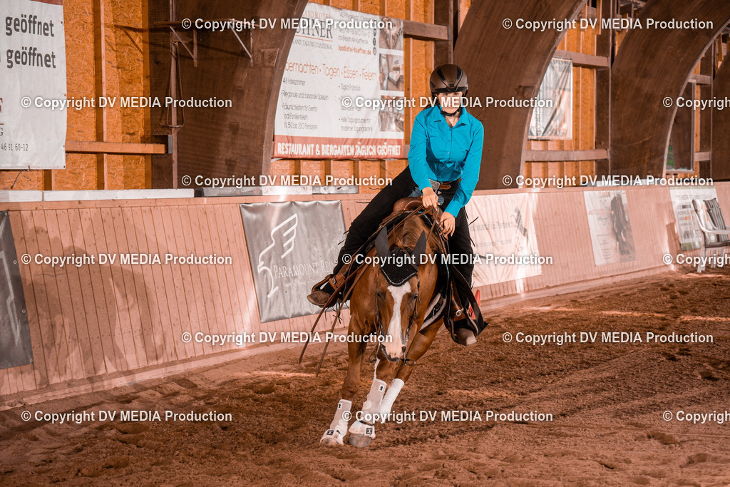 NE201101 | dv-media-shop - Realisiert mit Pictrs.com