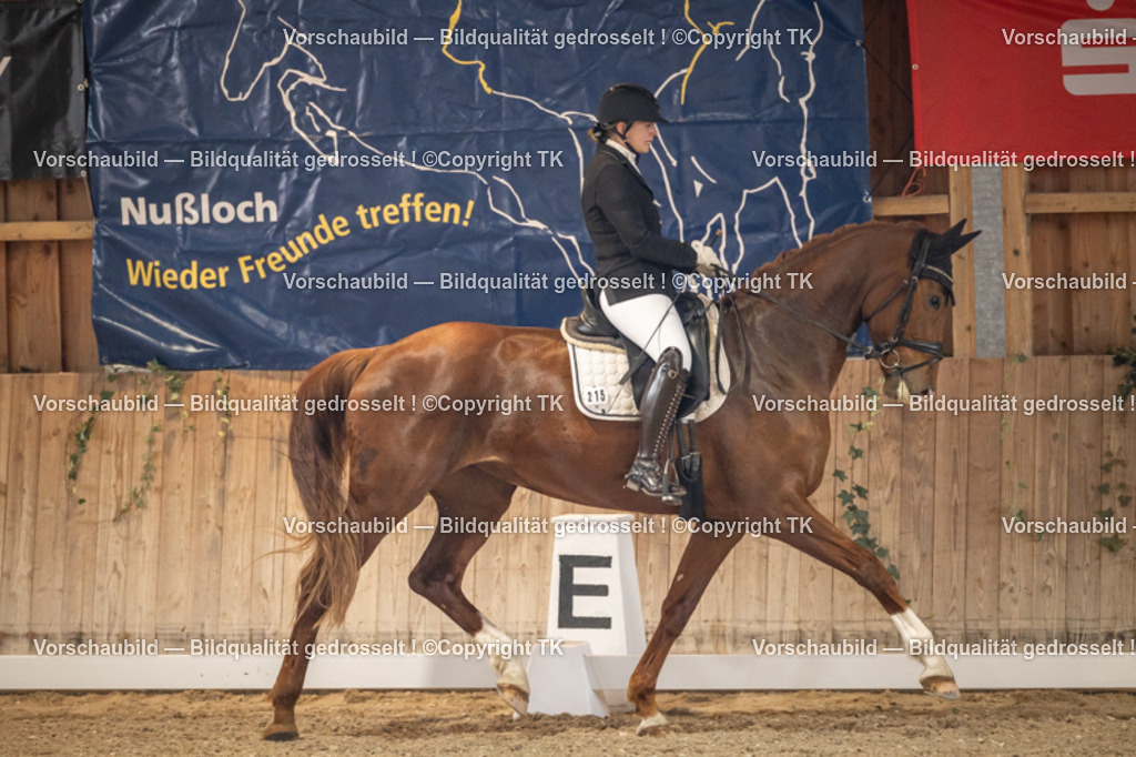 _D5A8340 | Emotionale Pferde- & People-Fotografie rund um Heidelberg, Leimen & Umgebung. Natürliche Fotos von Pferd, Mensch & Familie. Jetzt Termin sichern!