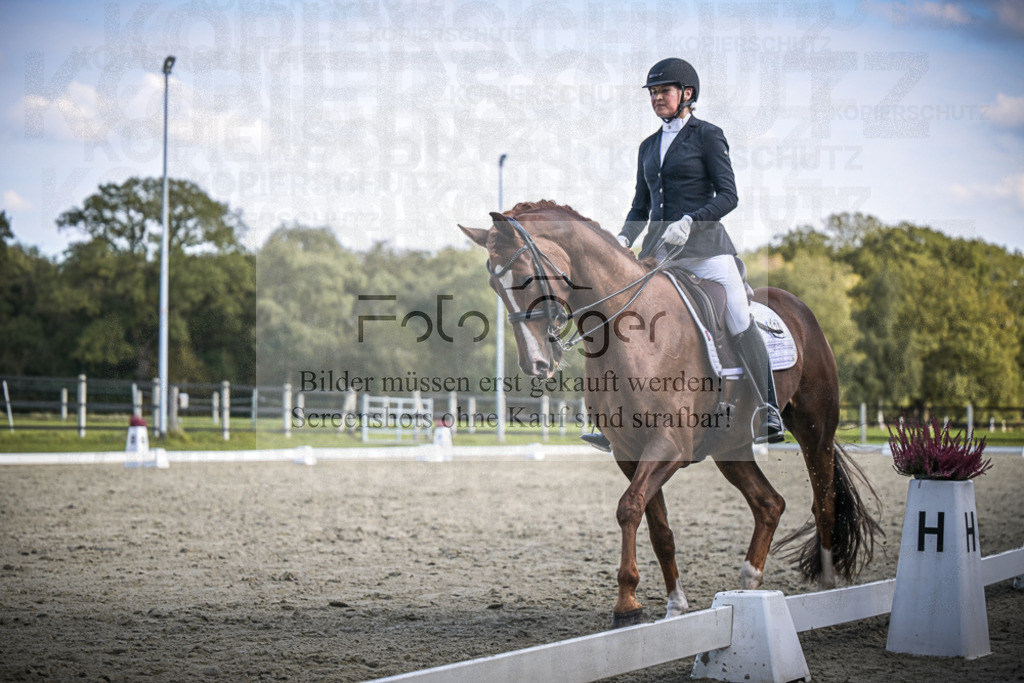 DOS_3646 | Entdecke hochwertige Reitturnierfotos von Foto Oger. Professionell, emotional und authentisch – jetzt Lieblingsmomente im Shop bestellen.Deutschlandweite Turnierfotografie. - Realisiert mit Pictrs.com