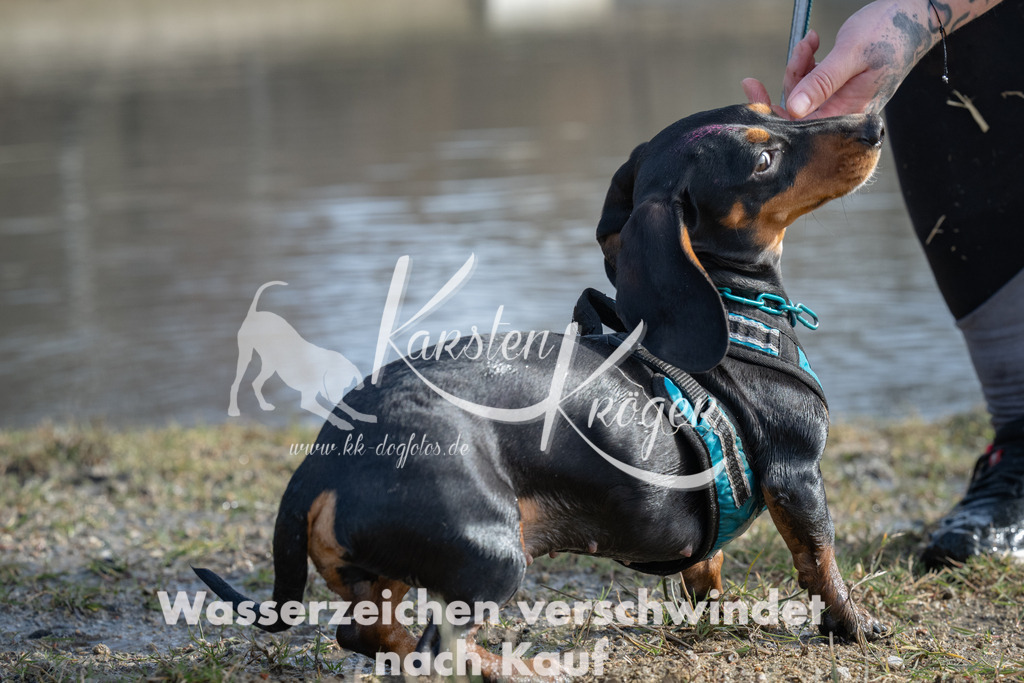 1228_ZZ99888 | kk-dogfotos