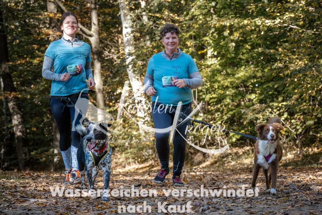 1231_ZZ95450 | kk-dogfotos