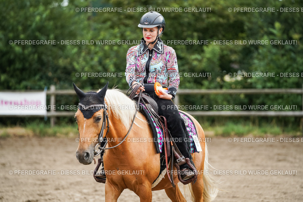 DSC03236 | Pferdegrafie