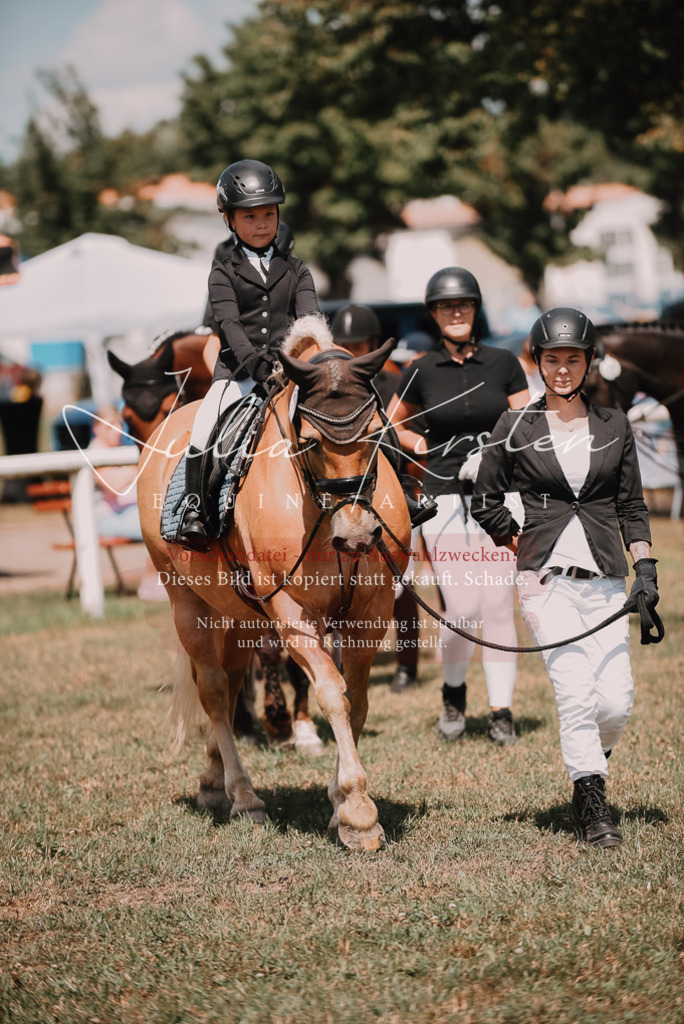 DSC_6114 | Pferde- und Turnierfotografie in Westsachsen. Pferdeportraits, Auftragszeichnungen und intuitive Kunst.