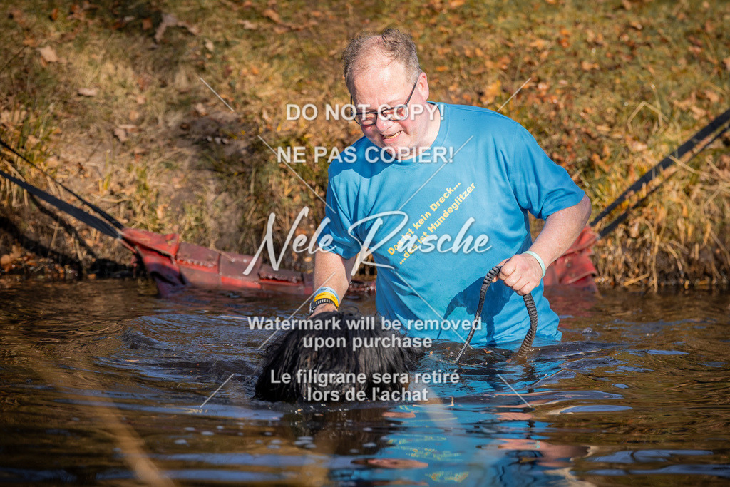 nelerasche_FS0900-1000_57 | nelerasche