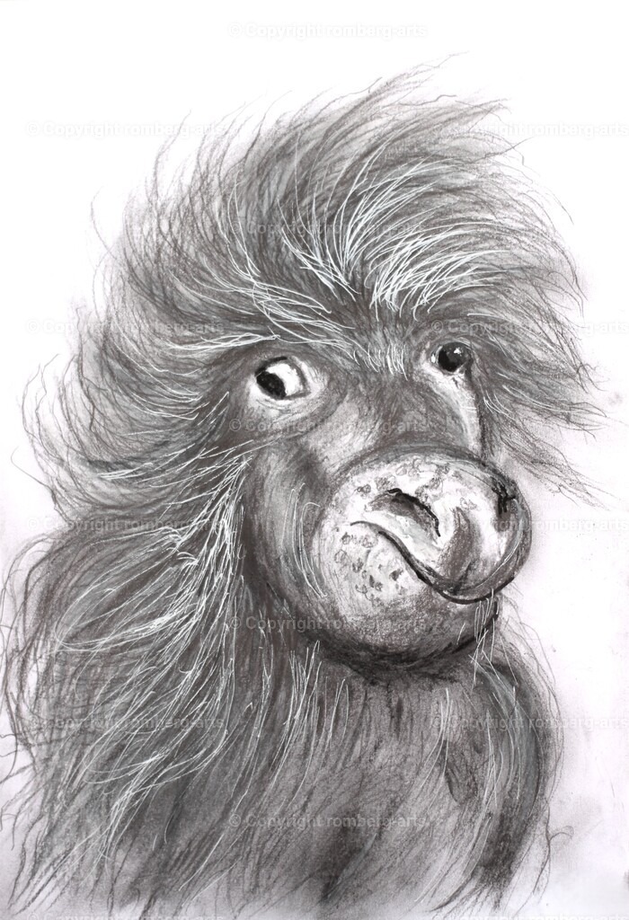 IMG_1622 (2) | romberg-arts, romberg-arts.de, www.romberg-arts.de, Foto_Online_Shop, Julia Fuhrmann, Köln, Fotos, Fotografie, Fotokunst, Kunstdrucke, Naturfotos, Aktfotos, Nacktfotos, schwarz_weiß_Fotos, Blumenfotos, Blumen, Tiere, Beton, Korrosion, Lächeln, Drucke