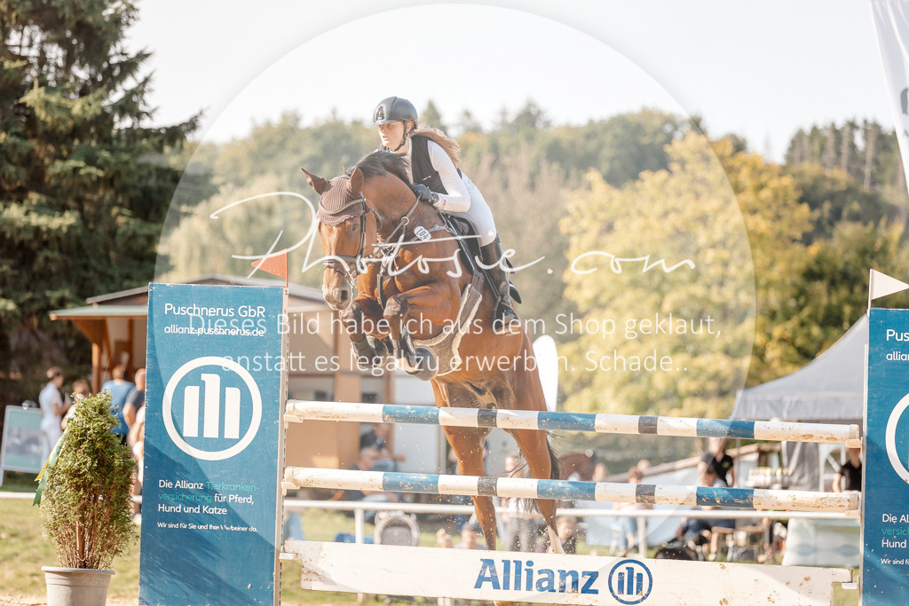 3I6A5094 | Stimmungsvolle Portraits und Reitsportfotografie im Ruhrgebiet und im Münsterland.

Pferdefotografie, Hundefotografie, Tierfotografie, Reportagen, Portraits von Tier und Mensch, Turnierfotografie in Bochum, Recklinghausen, Marl, Haltern am See, Dülmen.. - Realisiert mit Pictrs.com