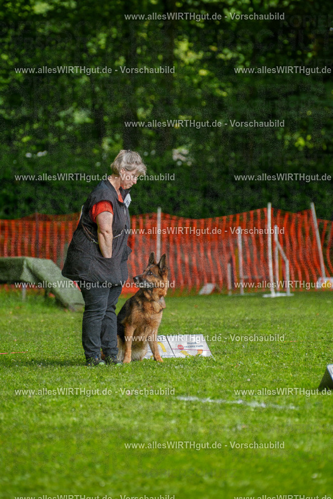 @allesWIRTHgut_Tierfotografie - www.allesWIRTHgut.de - 7R502464 | Professionelle Tierfotografie in Mönchengladbach von Daniel Wirth (allesWIRTHgut). Liebevolle & natürliche Bilder von Hunden & Katzen für unvergessliche Erinnerungen.
