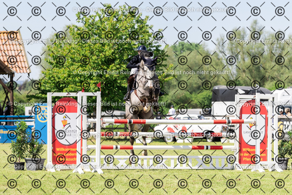 CL5A9504 | Emilia Reinking Fotografie - Realisiert mit Pictrs.com