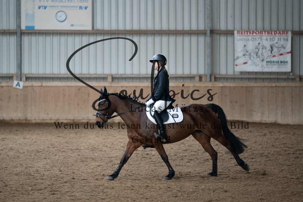 A7V04928 | Pferdefotograf